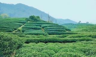 一斤不足打一字 一斤不足打一字